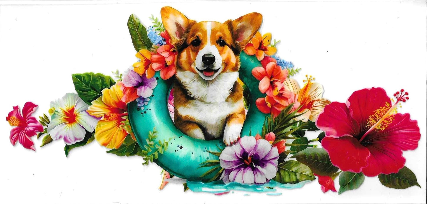 Corgi dog surrounded by colorful flowers on a white background