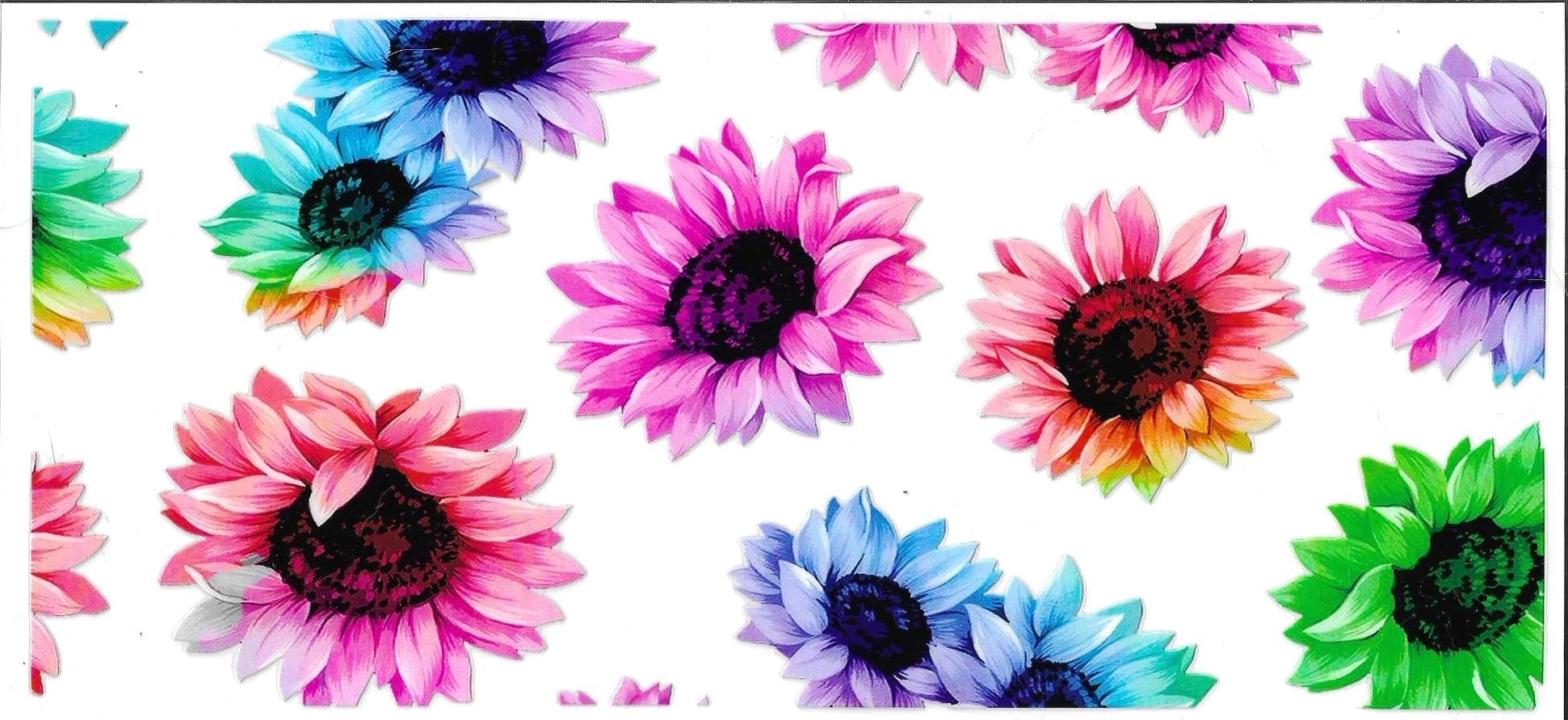 Pattern of colorful sunflowers on a white background